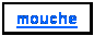 Zone de Texte: mouche